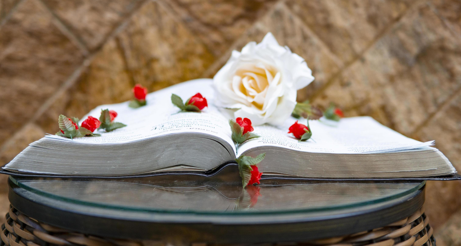 Trae tus flores para la Virgen